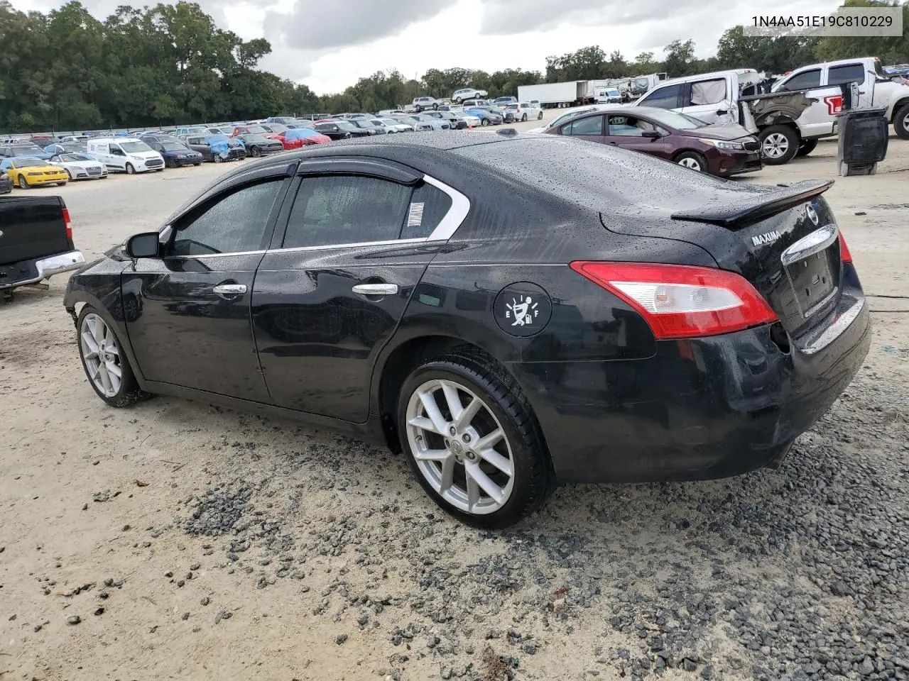 2009 Nissan Maxima S VIN: 1N4AA51E19C810229 Lot: 79663454