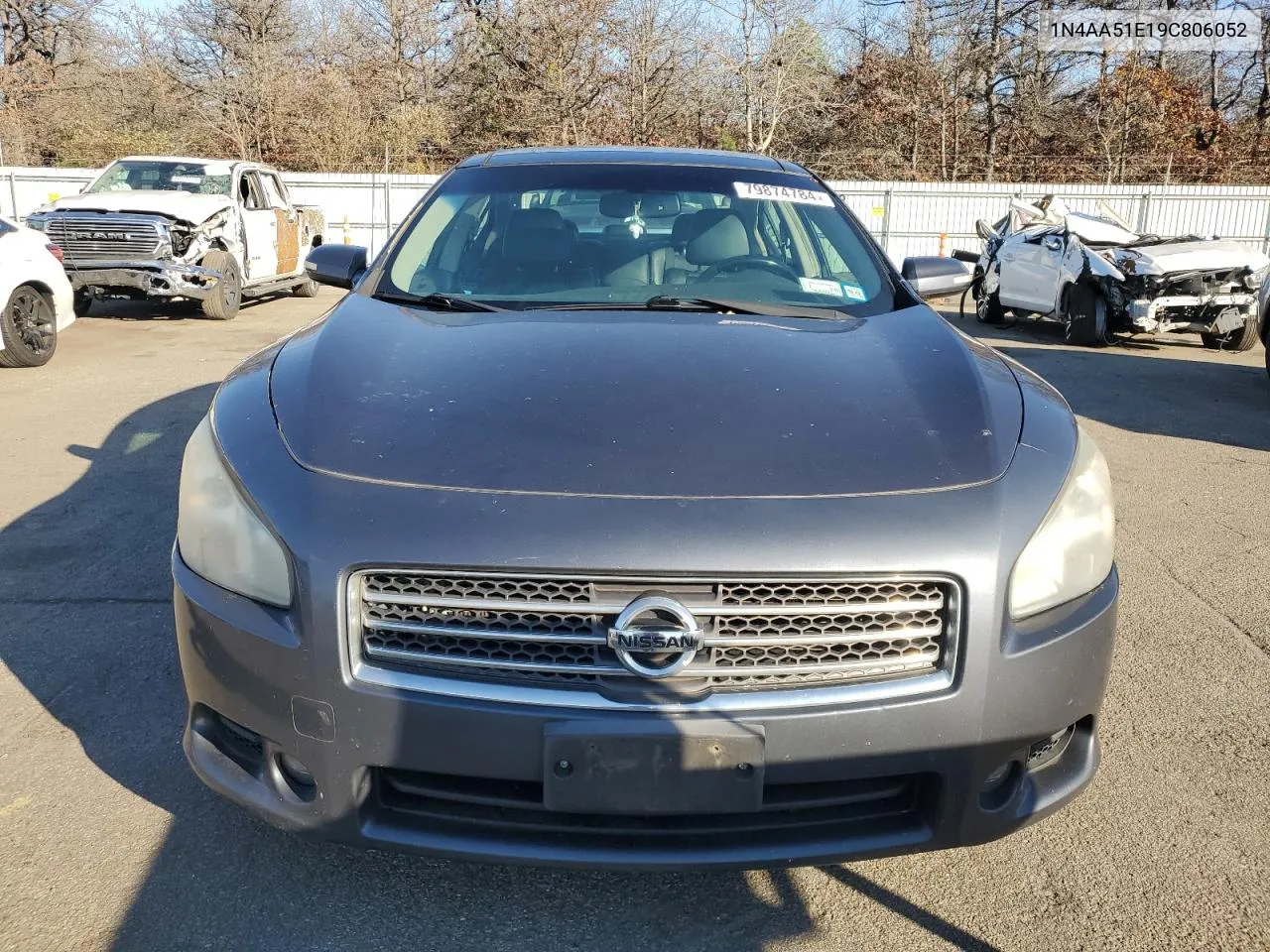 2009 Nissan Maxima S VIN: 1N4AA51E19C806052 Lot: 79874784