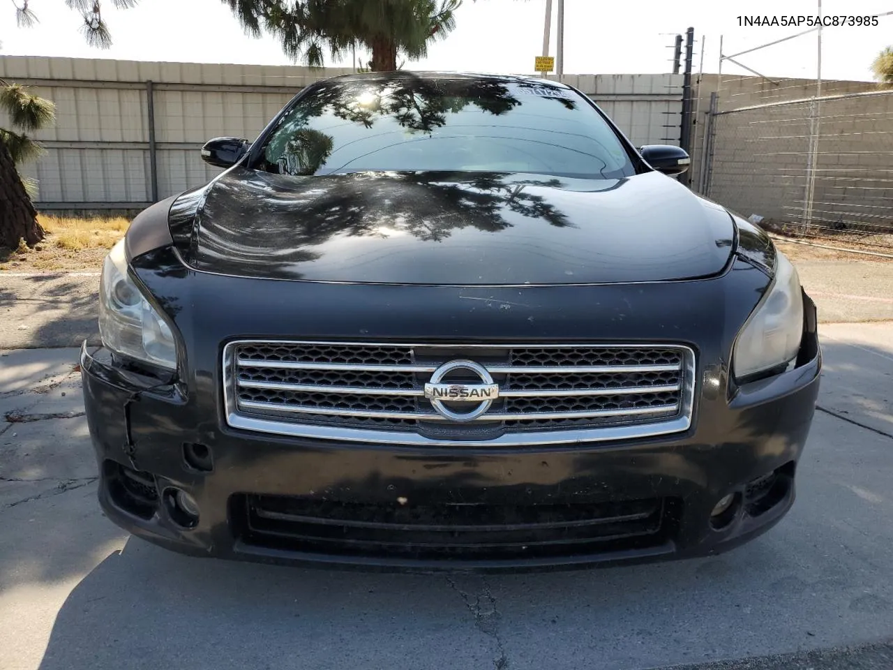 2010 Nissan Maxima S VIN: 1N4AA5AP5AC873985 Lot: 55717294