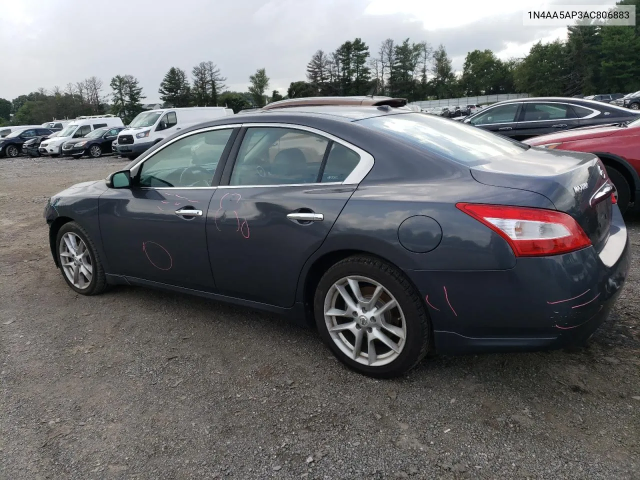 2010 Nissan Maxima S VIN: 1N4AA5AP3AC806883 Lot: 65706424