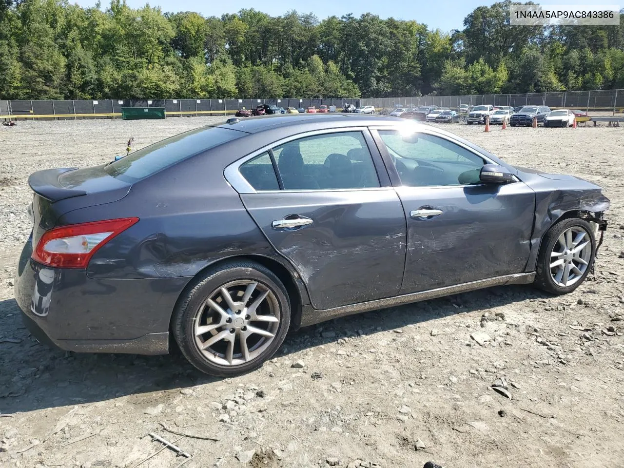 2010 Nissan Maxima S VIN: 1N4AA5AP9AC843386 Lot: 69807324