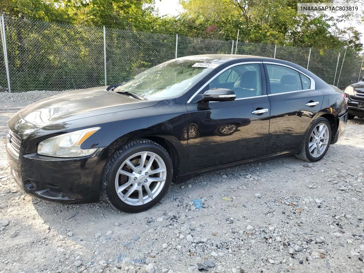 2010 Nissan Maxima S VIN: 1N4AA5AP1AC803819 Lot: 70423584