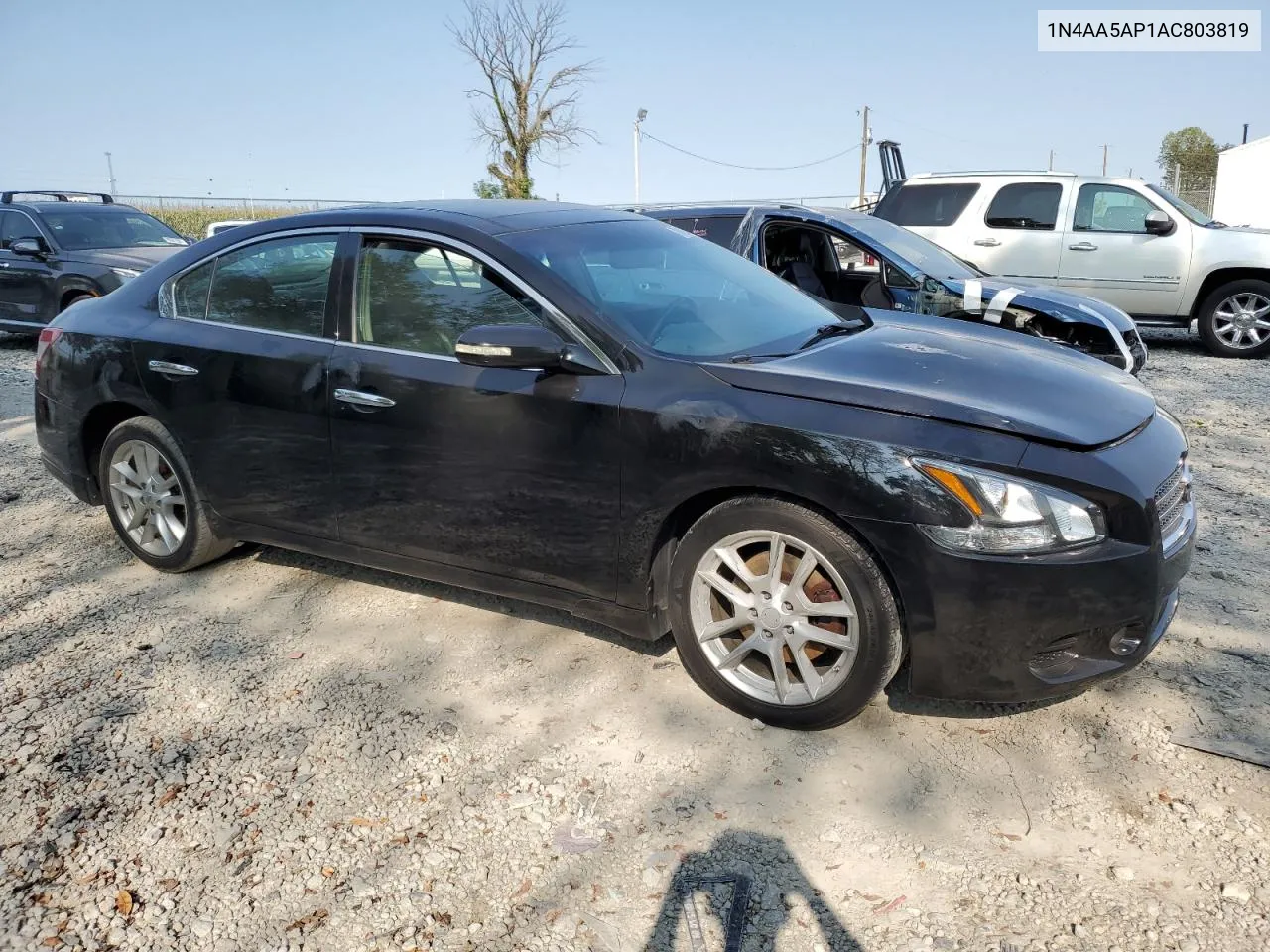 2010 Nissan Maxima S VIN: 1N4AA5AP1AC803819 Lot: 70423584