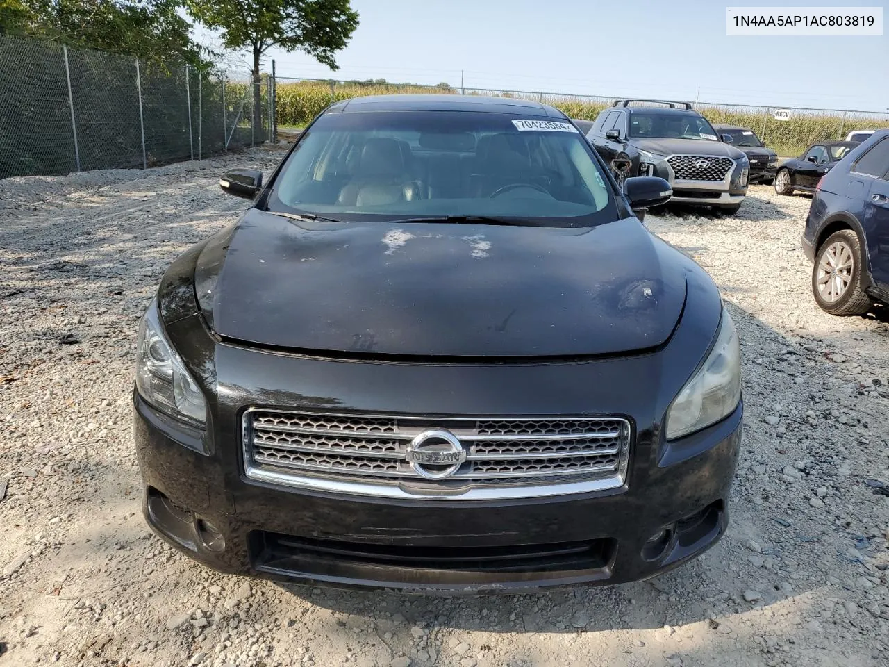 2010 Nissan Maxima S VIN: 1N4AA5AP1AC803819 Lot: 70423584