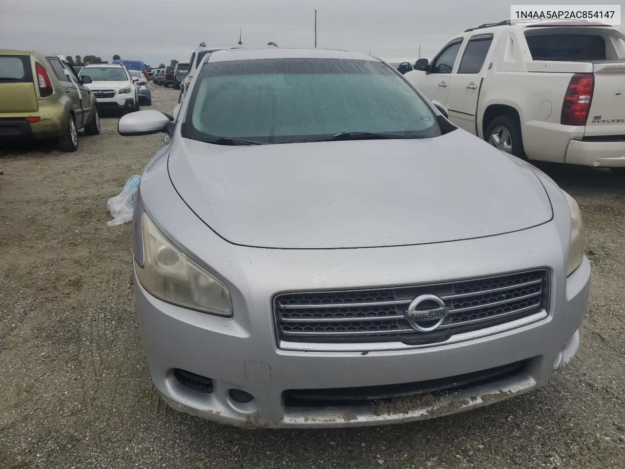 2010 Nissan Maxima S VIN: 1N4AA5AP2AC854147 Lot: 73921014