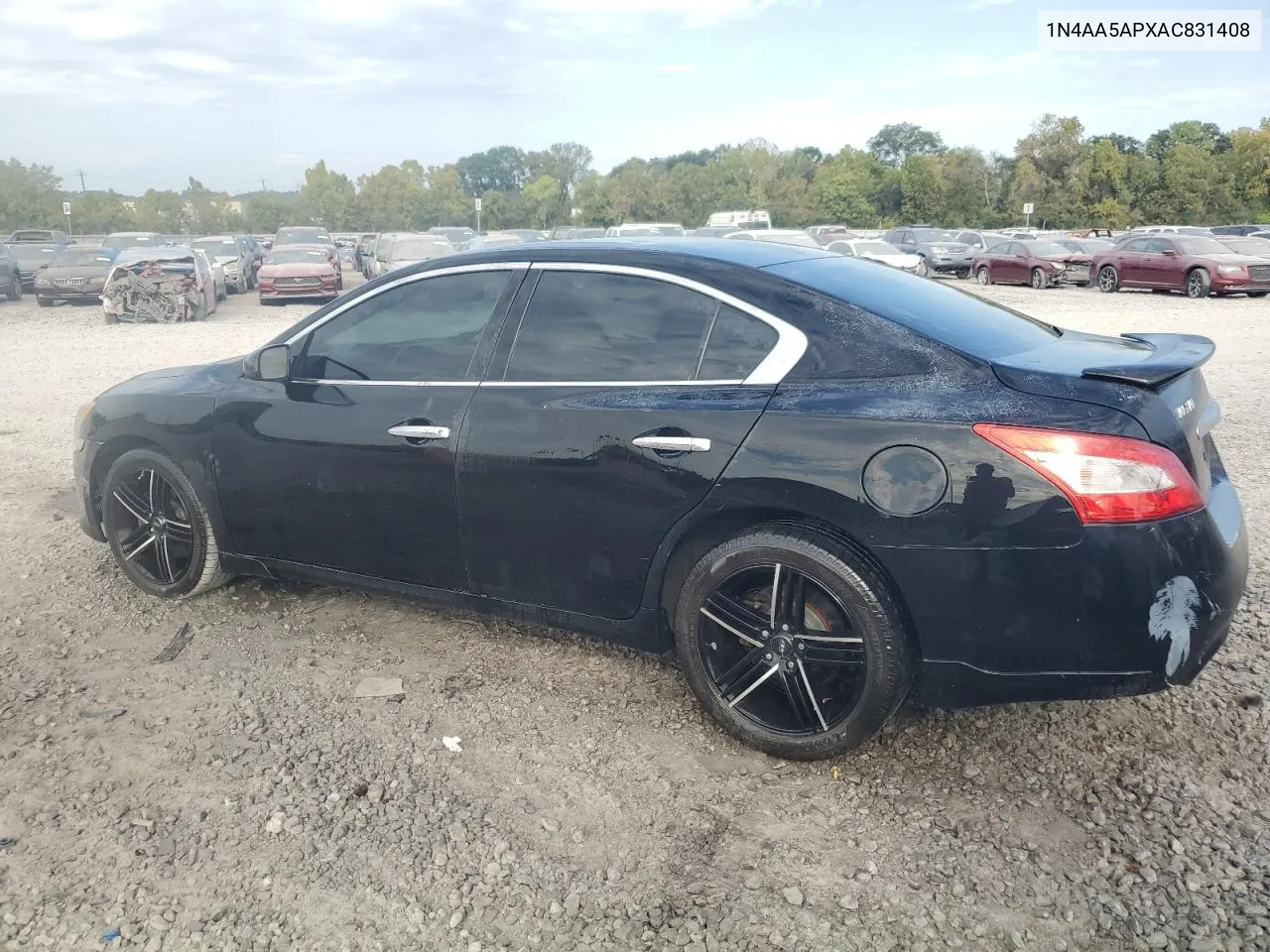 2010 Nissan Maxima S VIN: 1N4AA5APXAC831408 Lot: 73936274