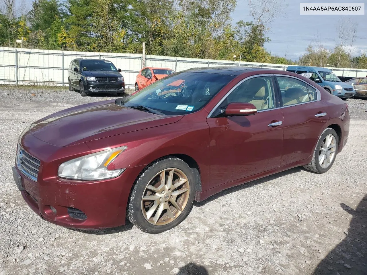 2010 Nissan Maxima S VIN: 1N4AA5AP6AC840607 Lot: 74182404