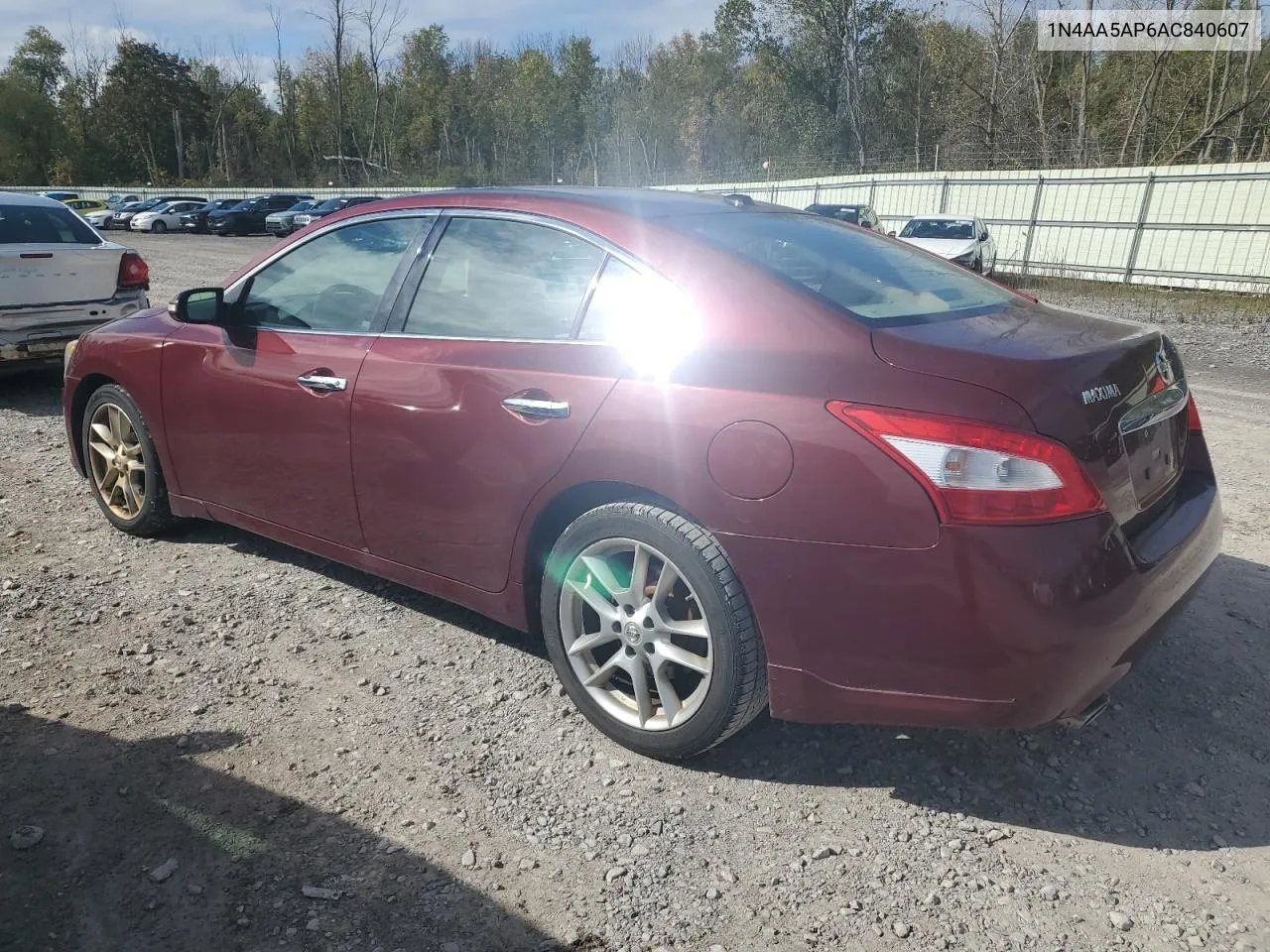 2010 Nissan Maxima S VIN: 1N4AA5AP6AC840607 Lot: 74182404