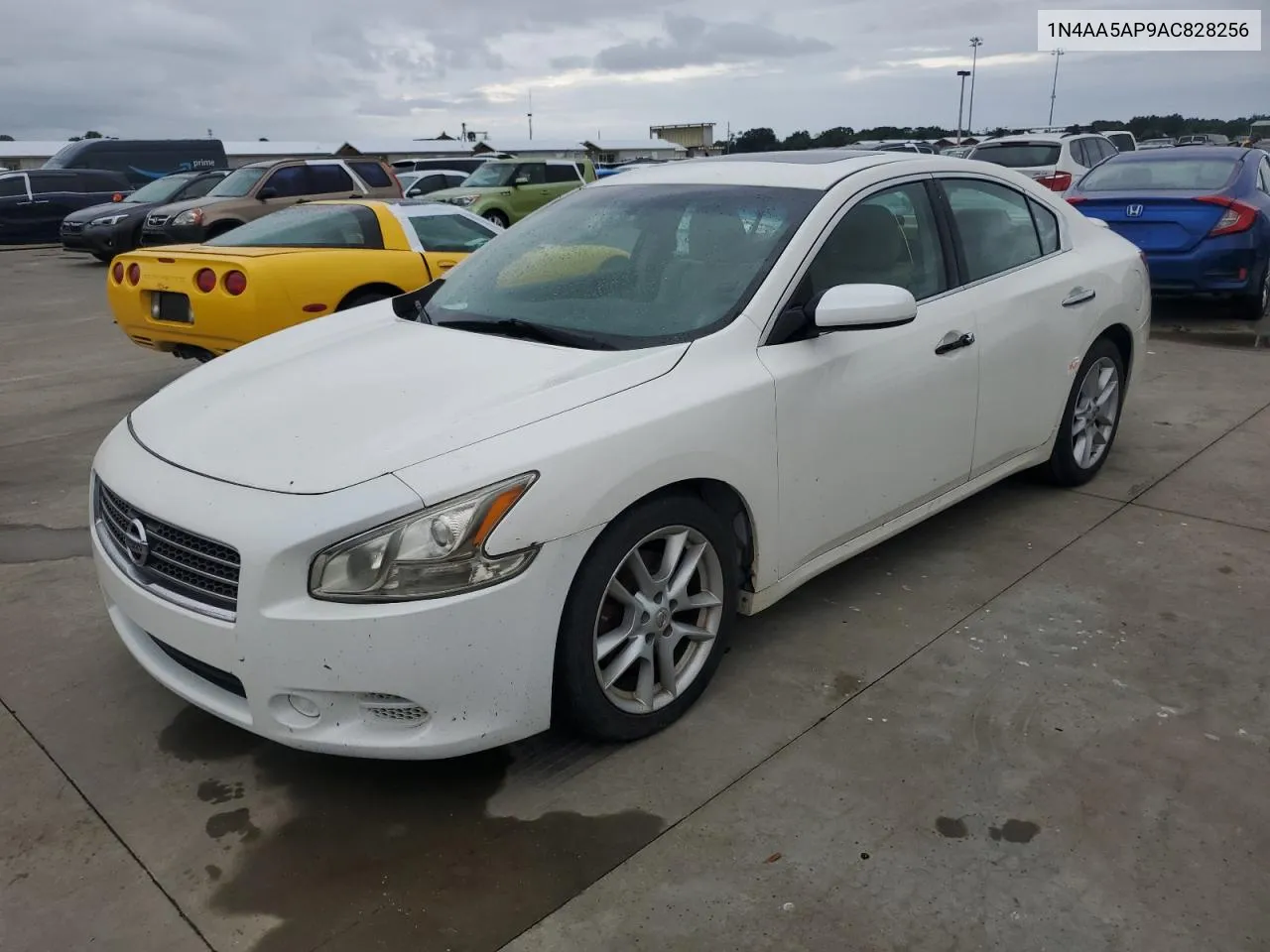 2010 Nissan Maxima S VIN: 1N4AA5AP9AC828256 Lot: 74774954