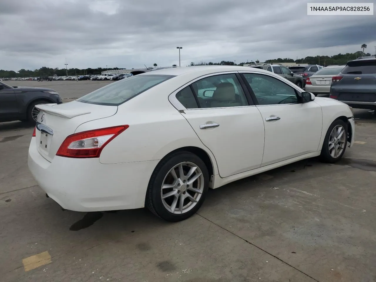 2010 Nissan Maxima S VIN: 1N4AA5AP9AC828256 Lot: 74774954