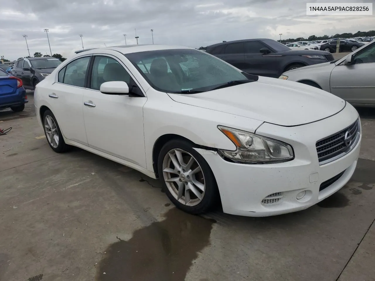 2010 Nissan Maxima S VIN: 1N4AA5AP9AC828256 Lot: 74774954