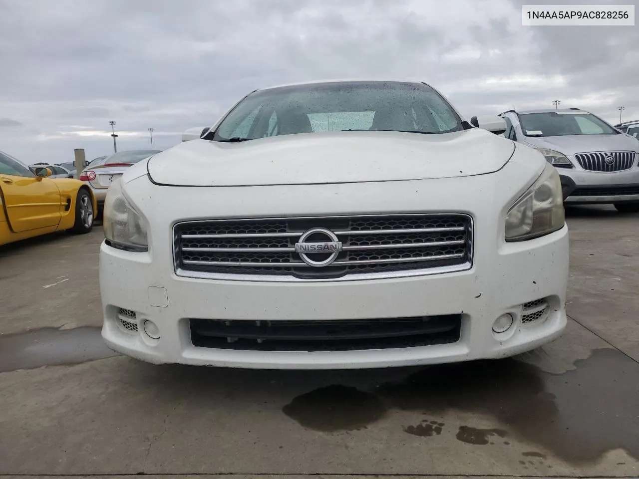 2010 Nissan Maxima S VIN: 1N4AA5AP9AC828256 Lot: 74774954