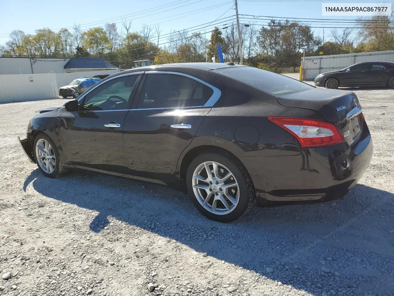 2010 Nissan Maxima S VIN: 1N4AA5AP9AC867977 Lot: 75485984