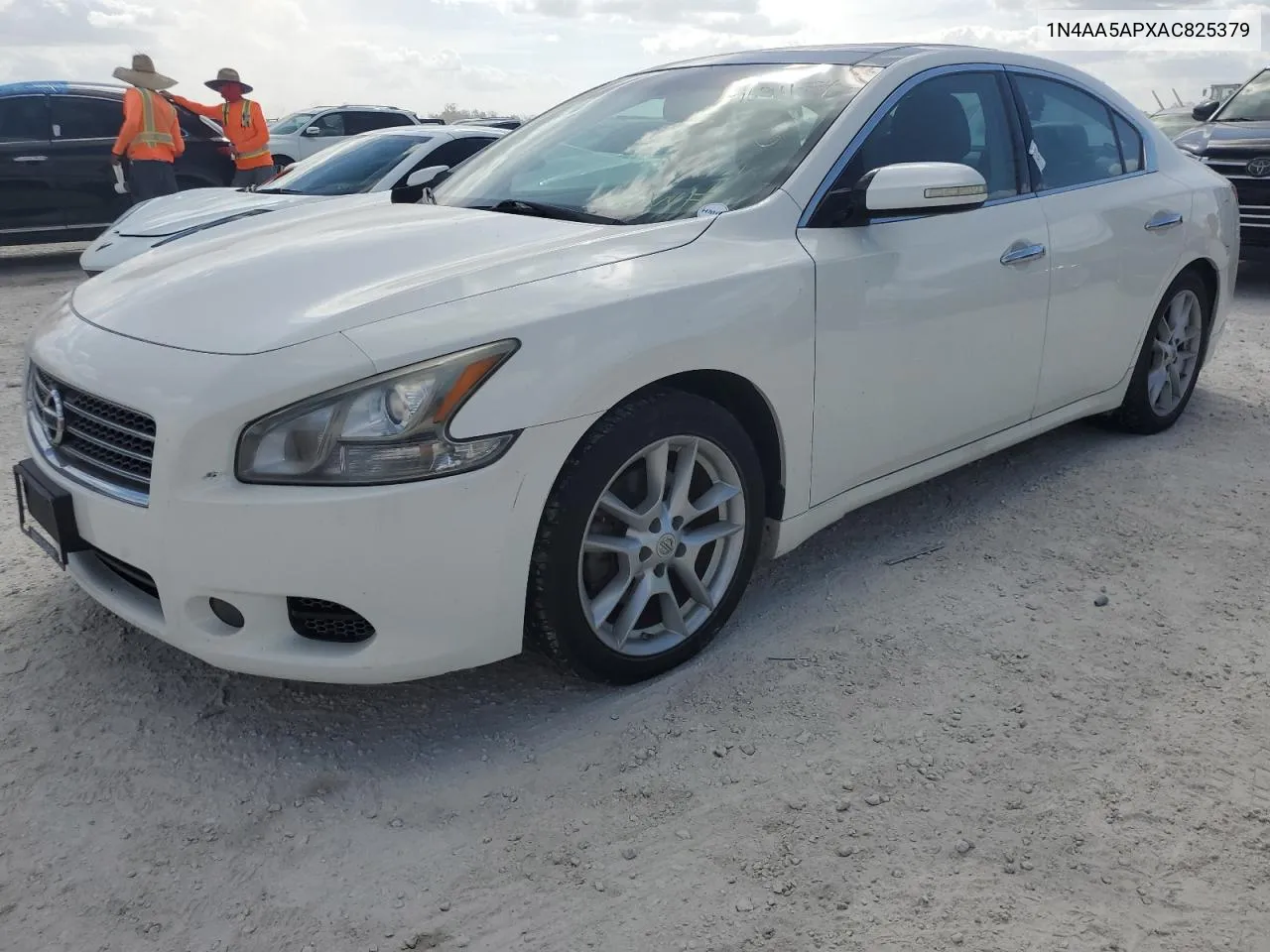 2010 Nissan Maxima S VIN: 1N4AA5APXAC825379 Lot: 76911884