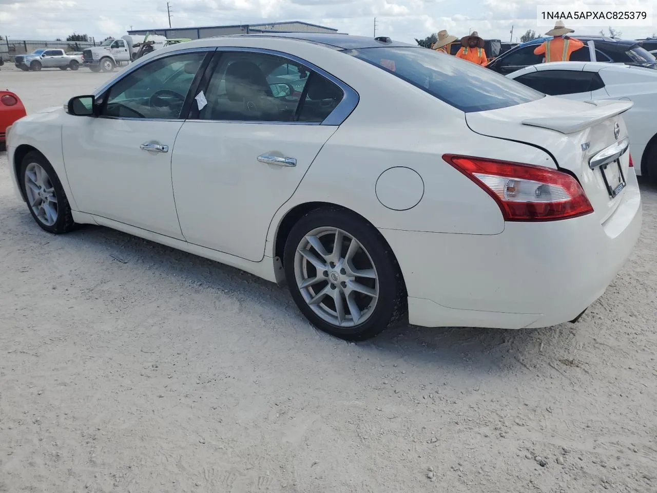 2010 Nissan Maxima S VIN: 1N4AA5APXAC825379 Lot: 76911884