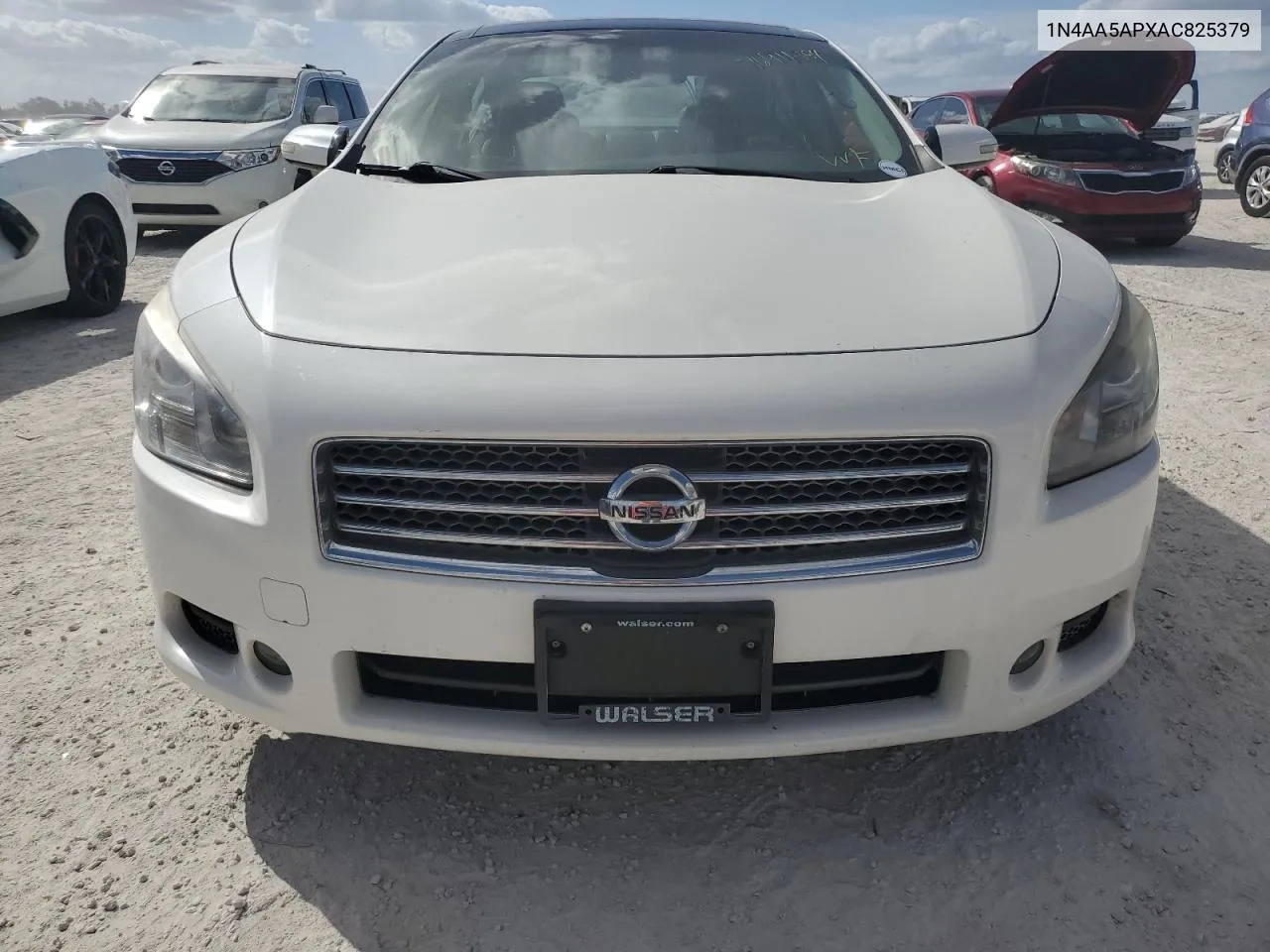 2010 Nissan Maxima S VIN: 1N4AA5APXAC825379 Lot: 76911884