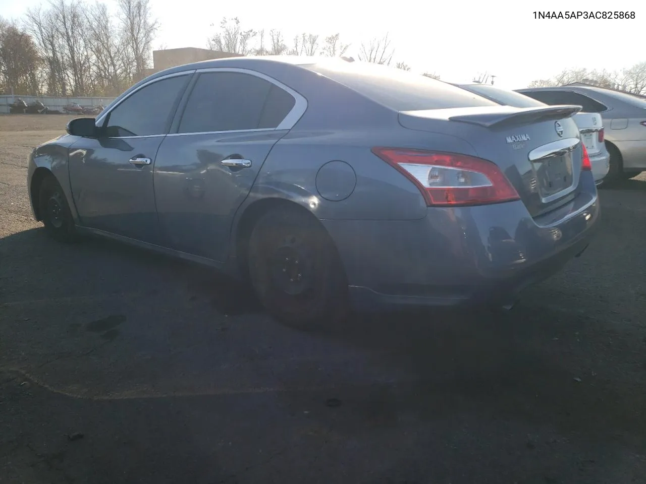 2010 Nissan Maxima S VIN: 1N4AA5AP3AC825868 Lot: 77851934