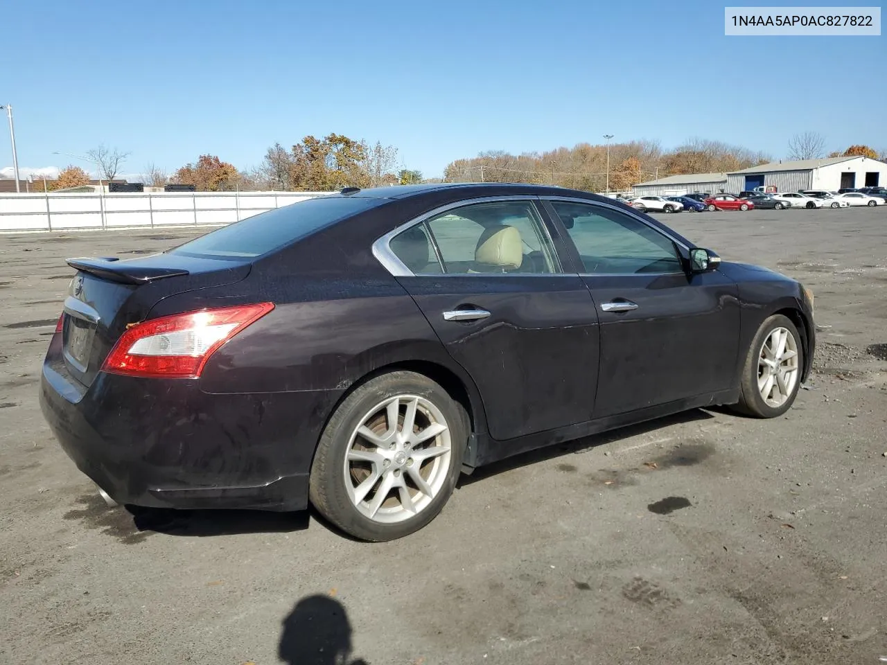 2010 Nissan Maxima S VIN: 1N4AA5AP0AC827822 Lot: 78346774