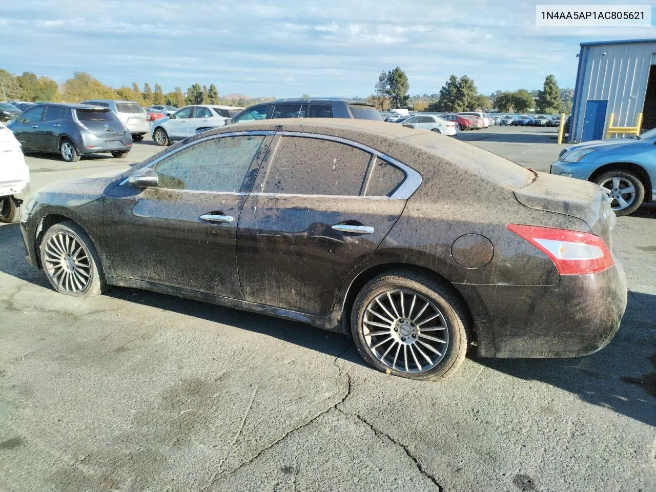 2010 Nissan Maxima S VIN: 1N4AA5AP1AC805621 Lot: 78699674