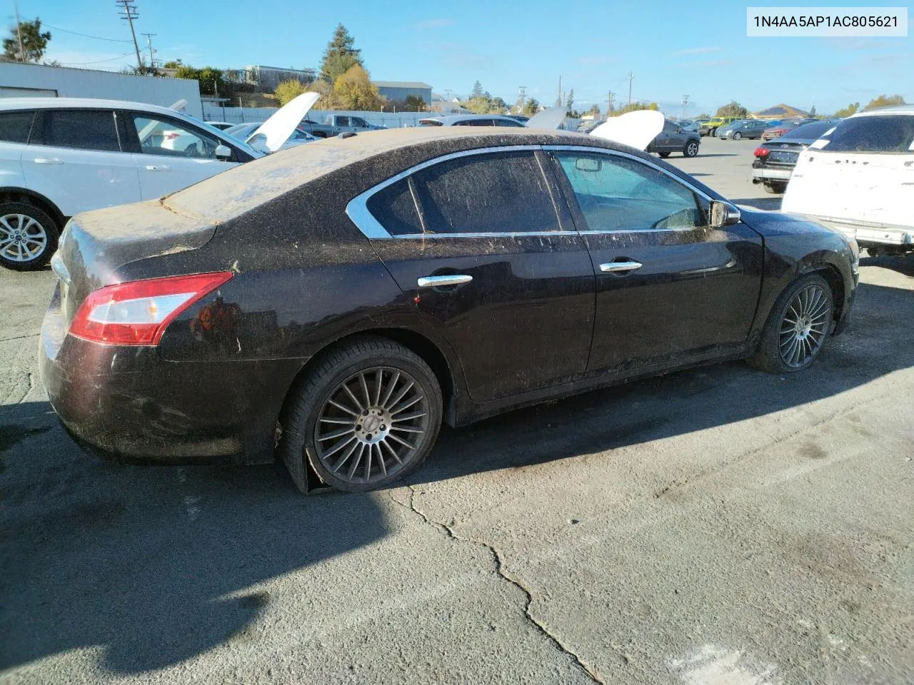 2010 Nissan Maxima S VIN: 1N4AA5AP1AC805621 Lot: 78699674