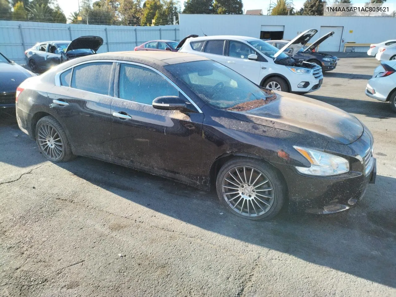 2010 Nissan Maxima S VIN: 1N4AA5AP1AC805621 Lot: 78699674