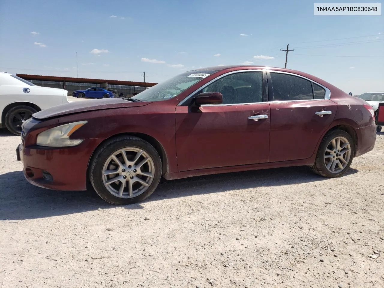 2011 Nissan Maxima S VIN: 1N4AA5AP1BC830648 Lot: 66202484