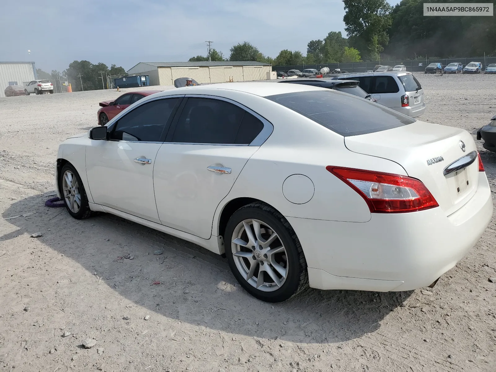 2011 Nissan Maxima S VIN: 1N4AA5AP9BC865972 Lot: 67684414