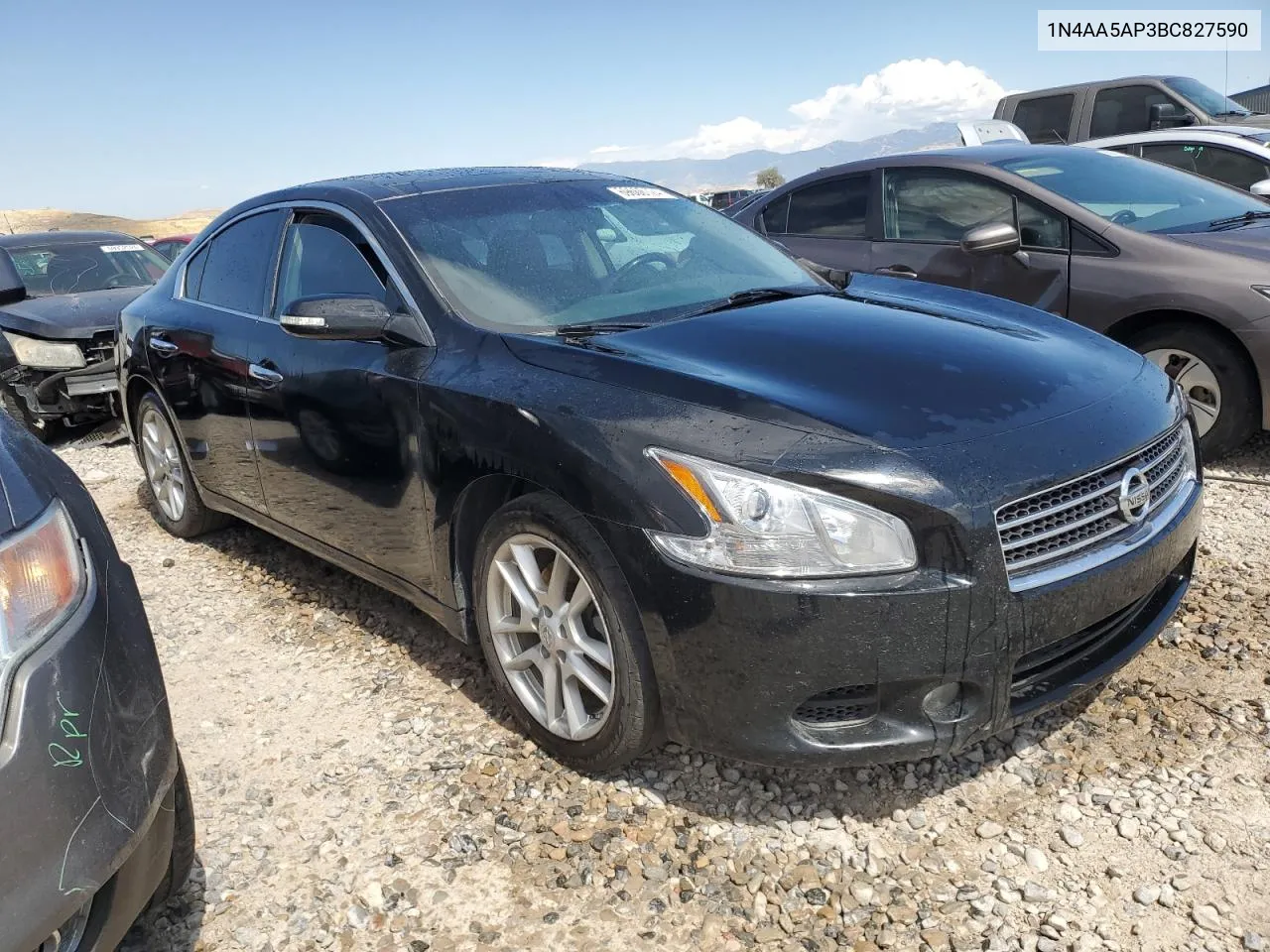 2011 Nissan Maxima S VIN: 1N4AA5AP3BC827590 Lot: 69660124