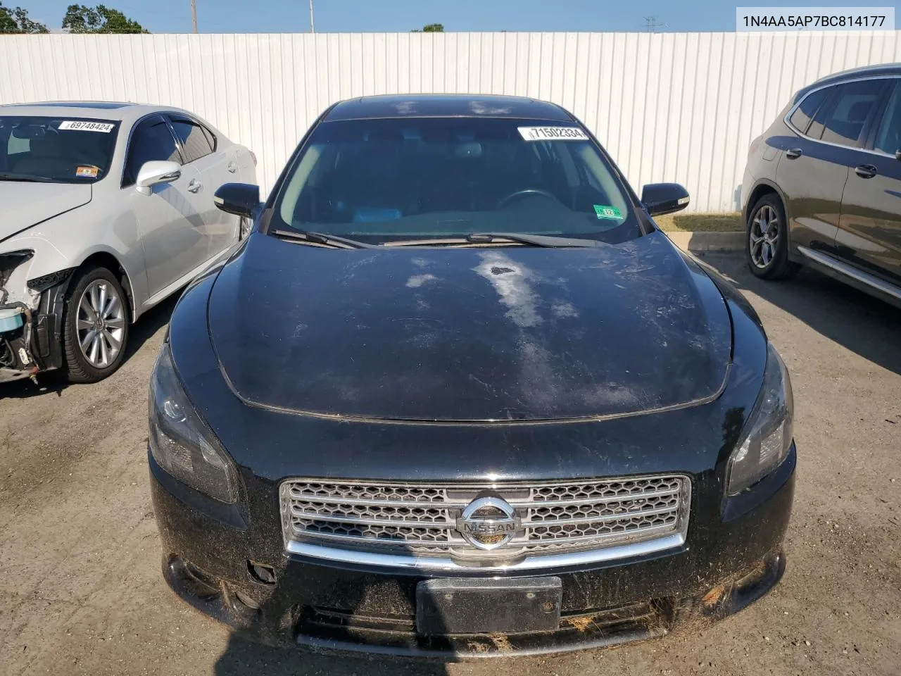 2011 Nissan Maxima S VIN: 1N4AA5AP7BC814177 Lot: 71502334