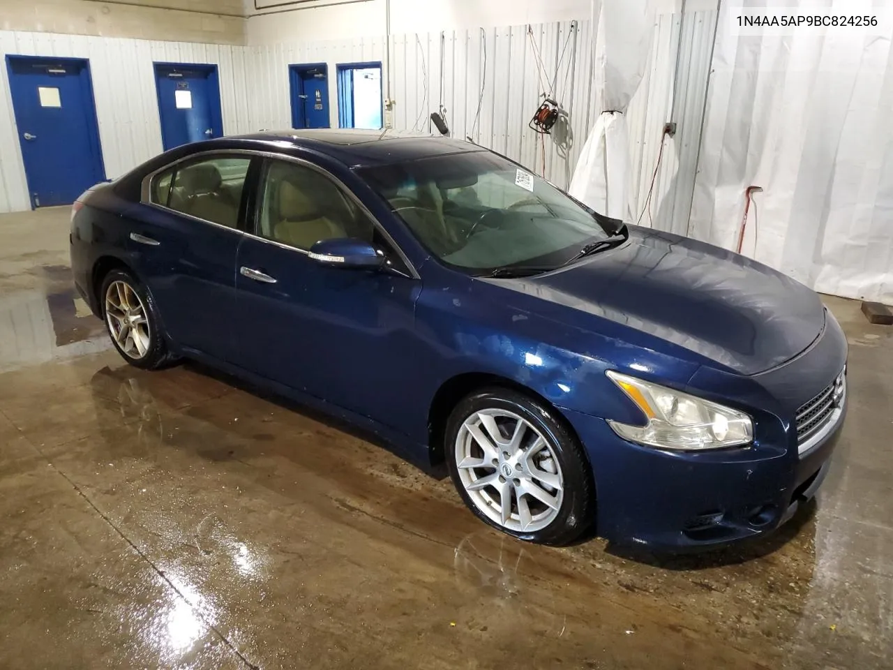 2011 Nissan Maxima S VIN: 1N4AA5AP9BC824256 Lot: 71576334