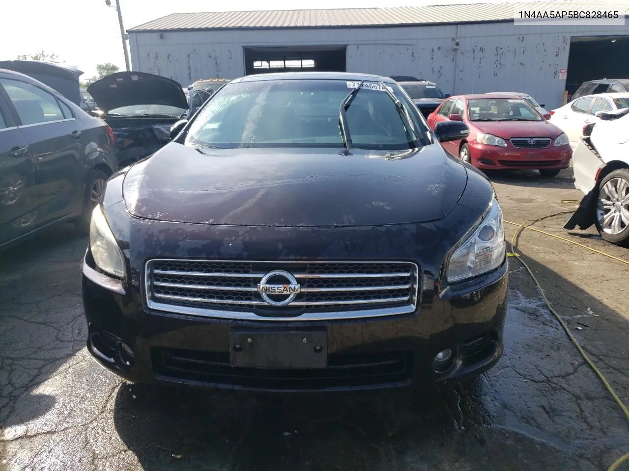 2011 Nissan Maxima S VIN: 1N4AA5AP5BC828465 Lot: 71746674