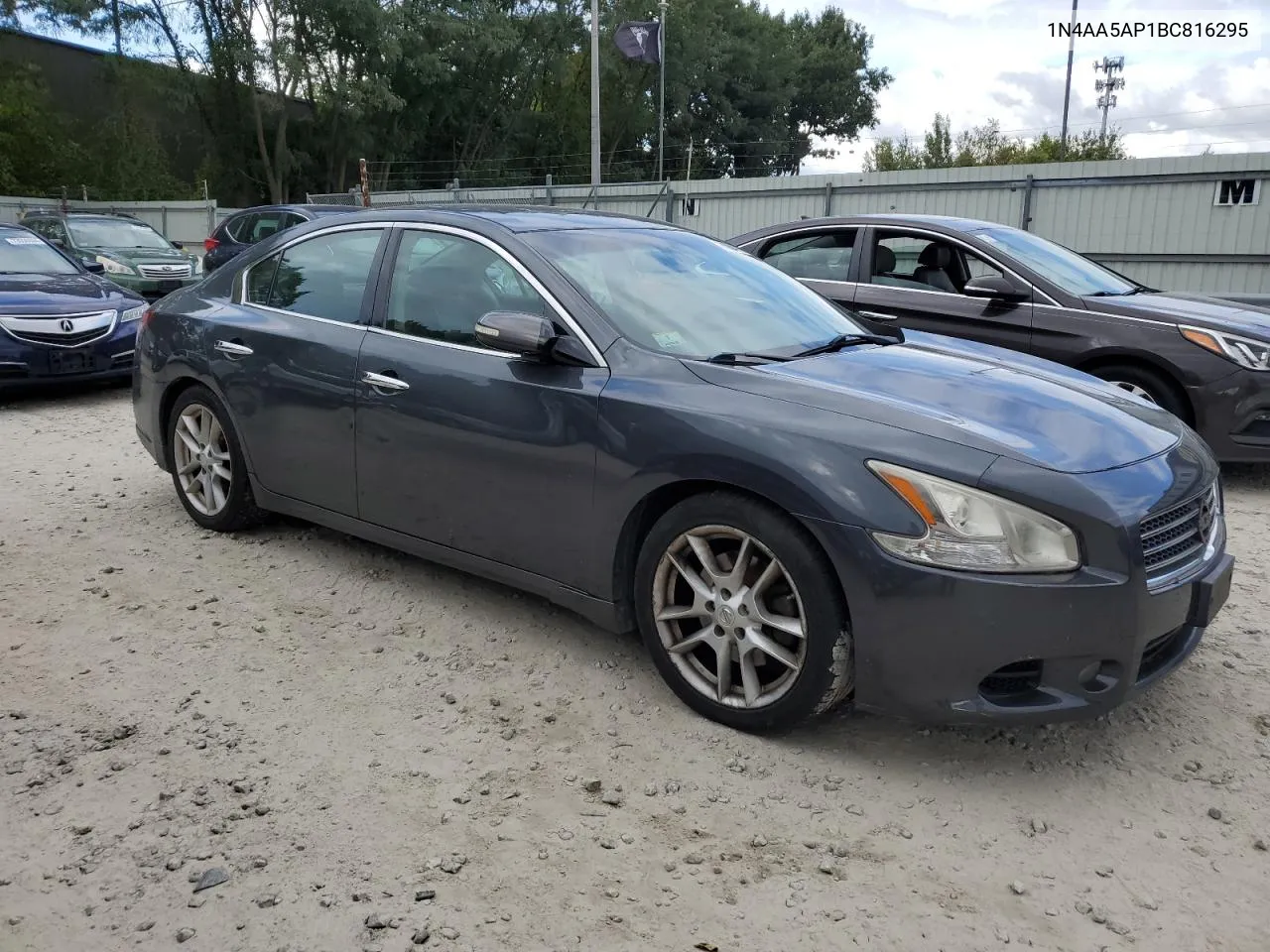 2011 Nissan Maxima S VIN: 1N4AA5AP1BC816295 Lot: 74084134