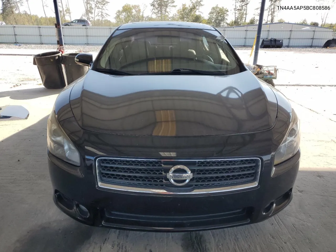 2011 Nissan Maxima S VIN: 1N4AA5AP5BC808586 Lot: 74769264