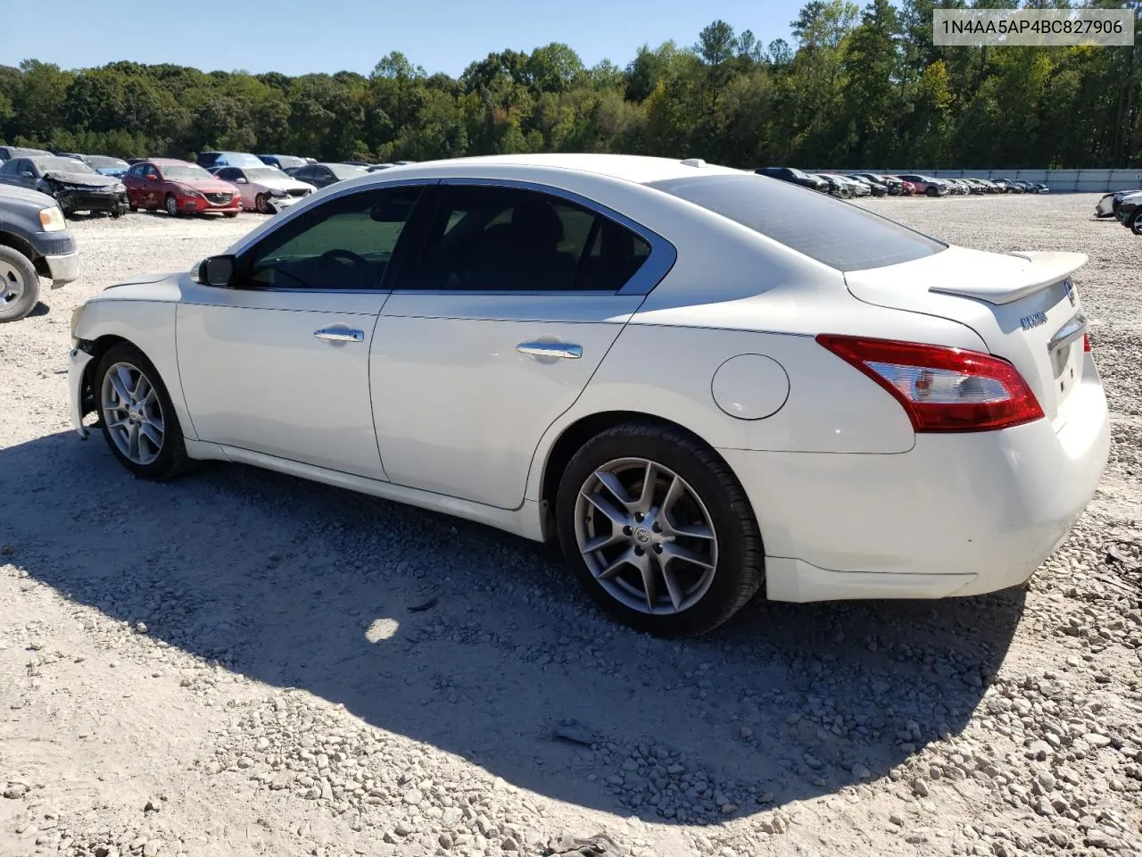 2011 Nissan Maxima S VIN: 1N4AA5AP4BC827906 Lot: 74985204