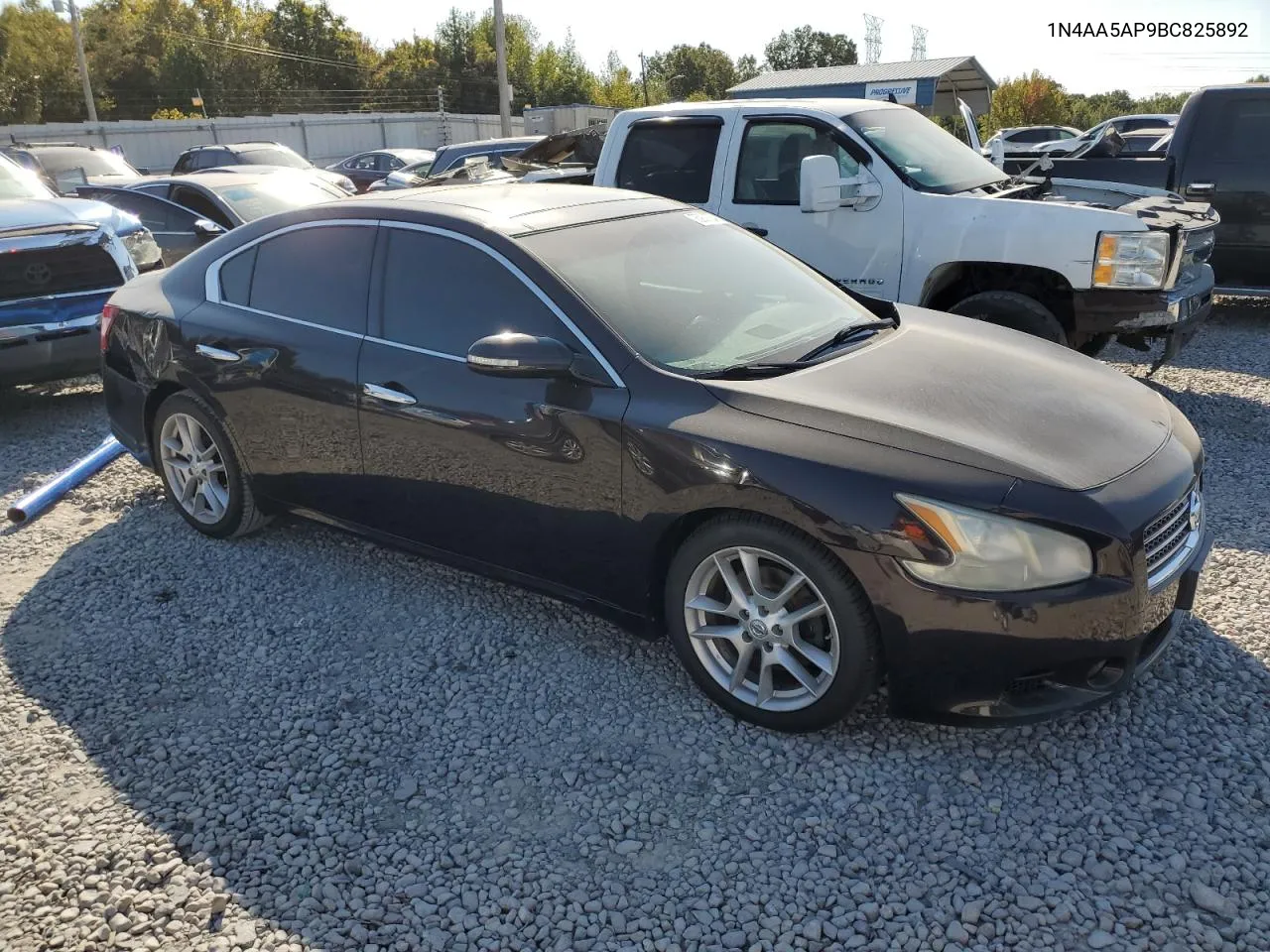 2011 Nissan Maxima S VIN: 1N4AA5AP9BC825892 Lot: 75922724