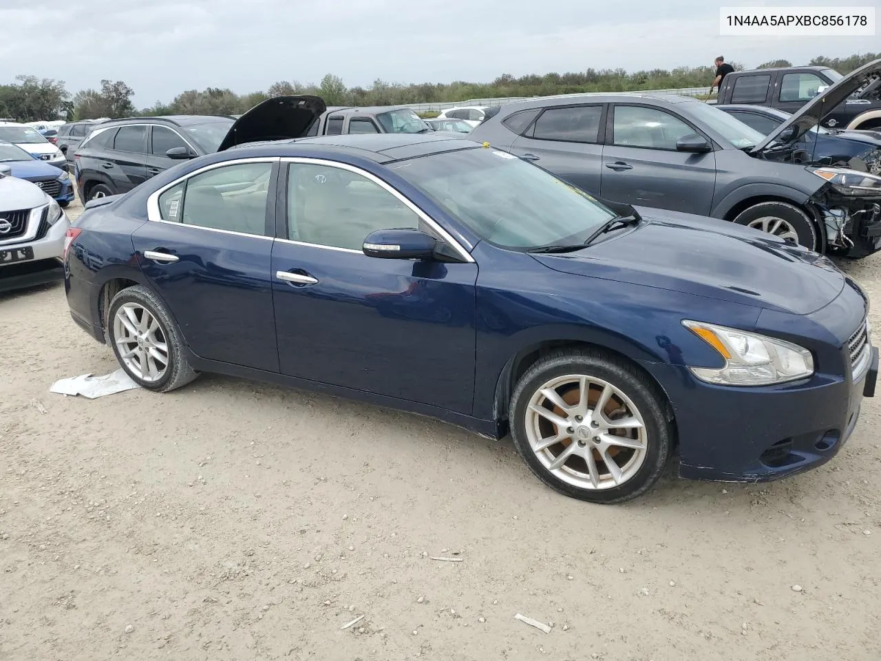 2011 Nissan Maxima S VIN: 1N4AA5APXBC856178 Lot: 79671734