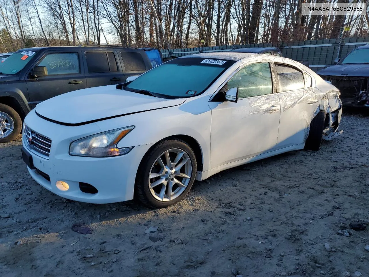 2011 Nissan Maxima S VIN: 1N4AA5AP6BC829558 Lot: 81302254