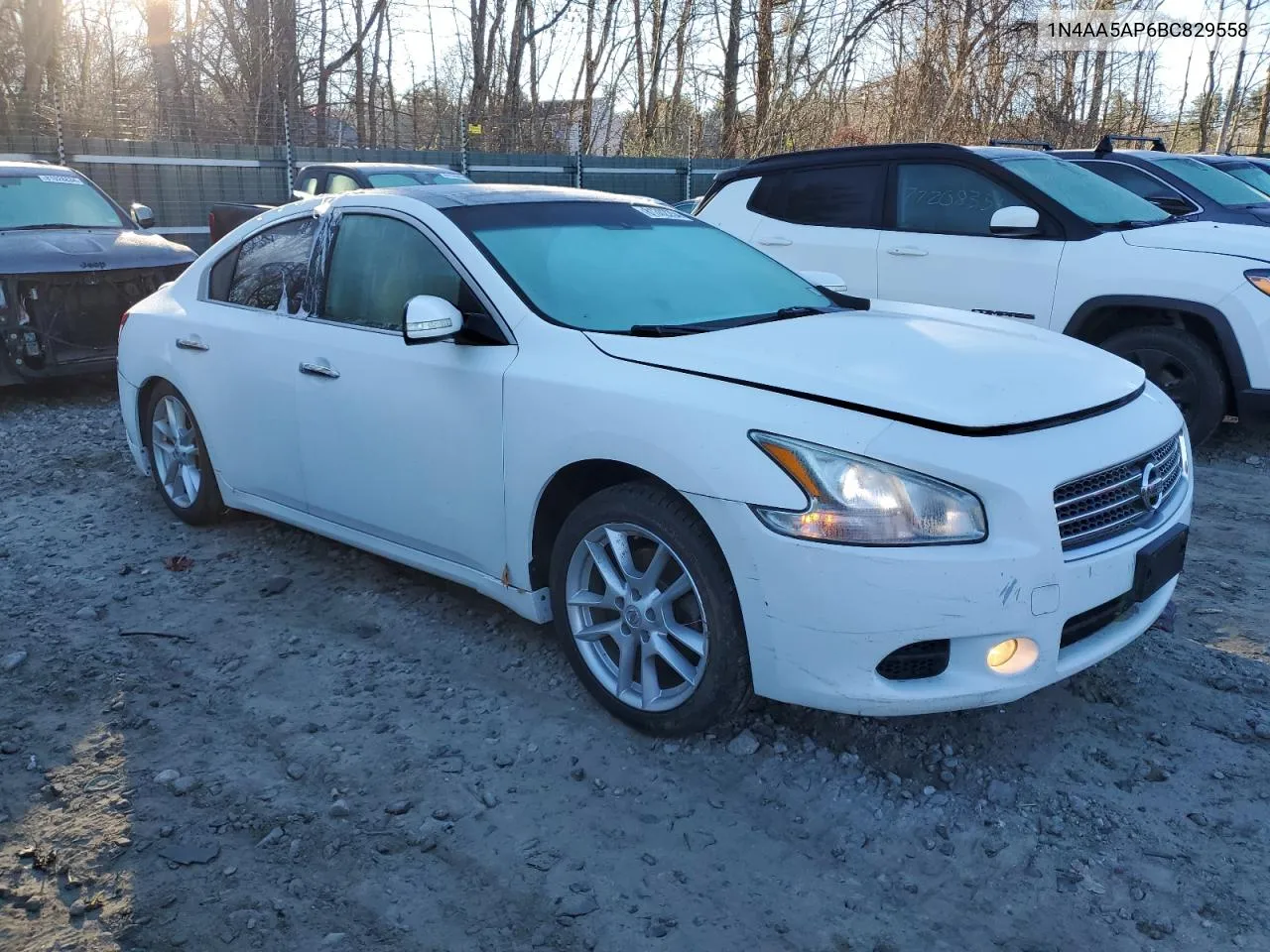 2011 Nissan Maxima S VIN: 1N4AA5AP6BC829558 Lot: 81302254