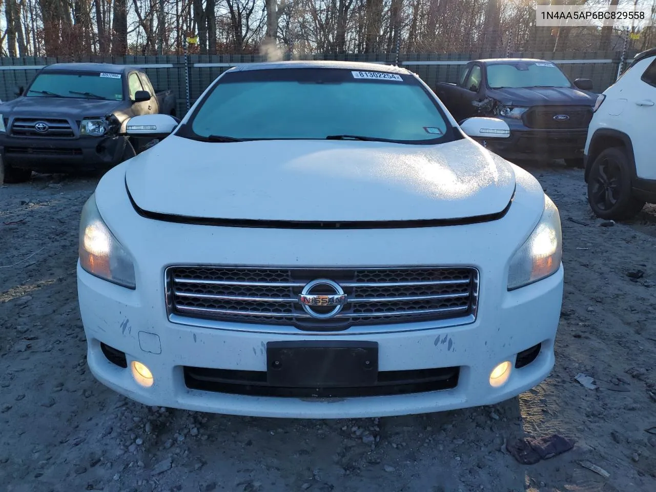 2011 Nissan Maxima S VIN: 1N4AA5AP6BC829558 Lot: 81302254