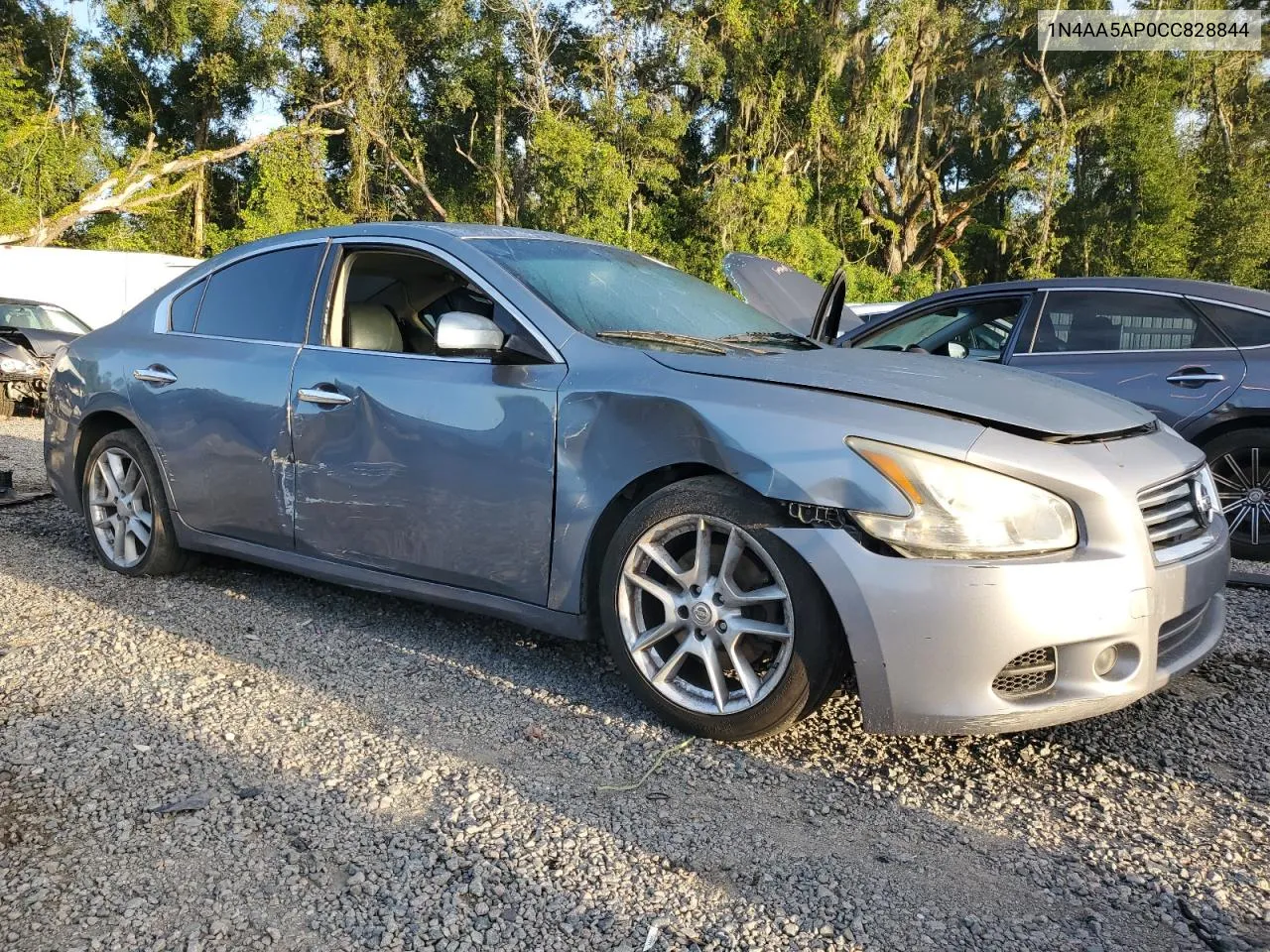 2012 Nissan Maxima S VIN: 1N4AA5AP0CC828844 Lot: 70413384