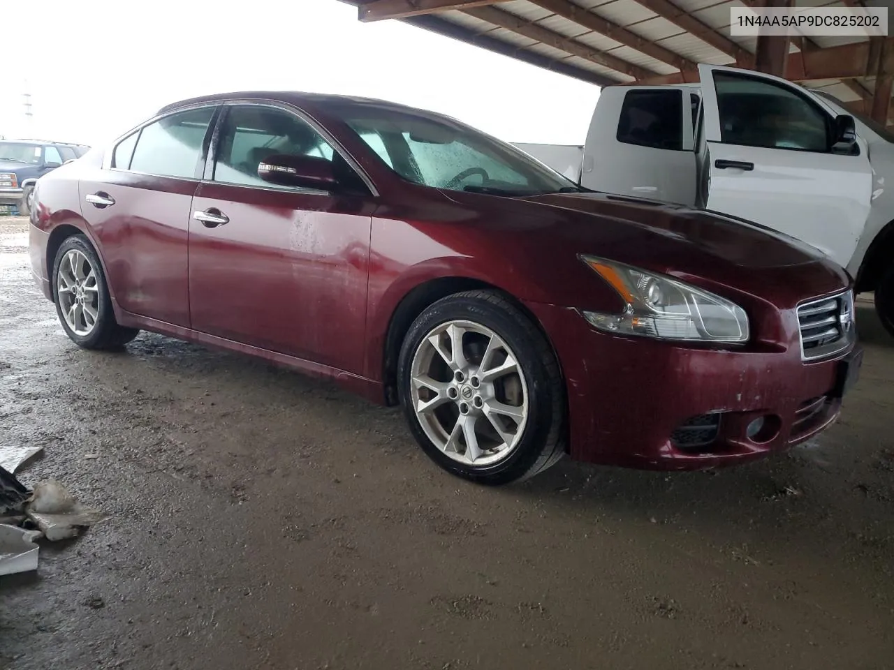 1N4AA5AP9DC825202 2013 Nissan Maxima S