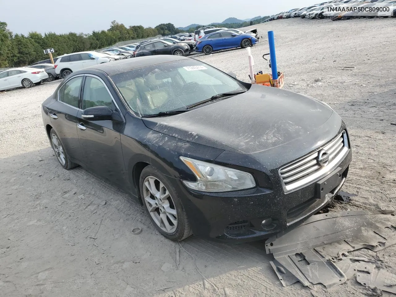 2013 Nissan Maxima S VIN: 1N4AA5AP5DC809000 Lot: 71243414