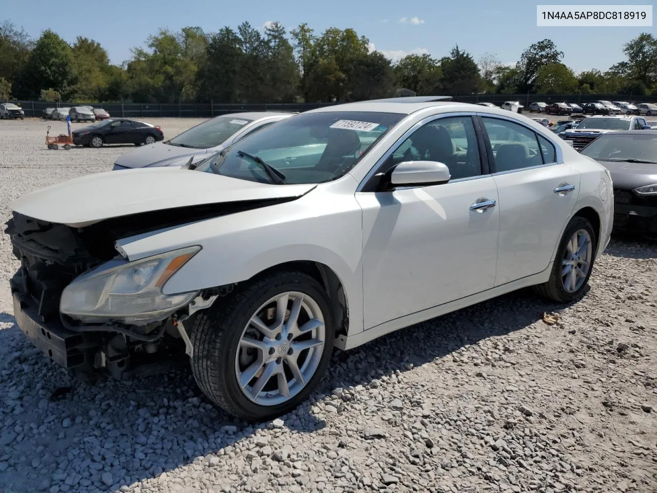 2013 Nissan Maxima S VIN: 1N4AA5AP8DC818919 Lot: 71592724