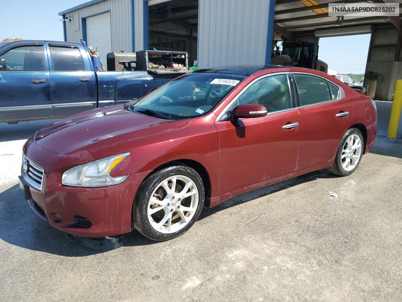 2013 Nissan Maxima S VIN: 1N4AA5AP9DC825202 Lot: 75194524