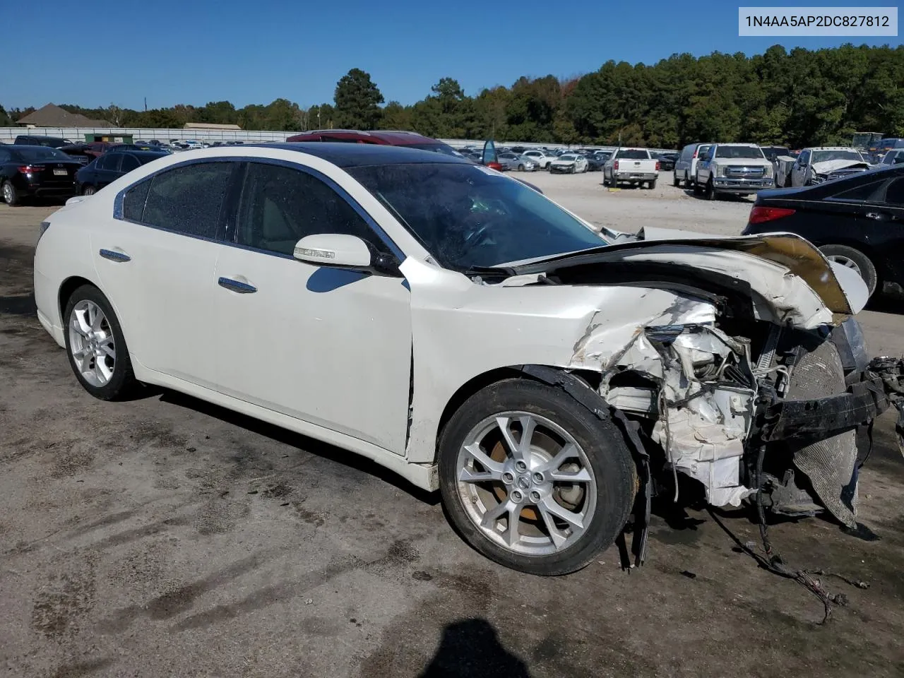 2013 Nissan Maxima S VIN: 1N4AA5AP2DC827812 Lot: 77116694