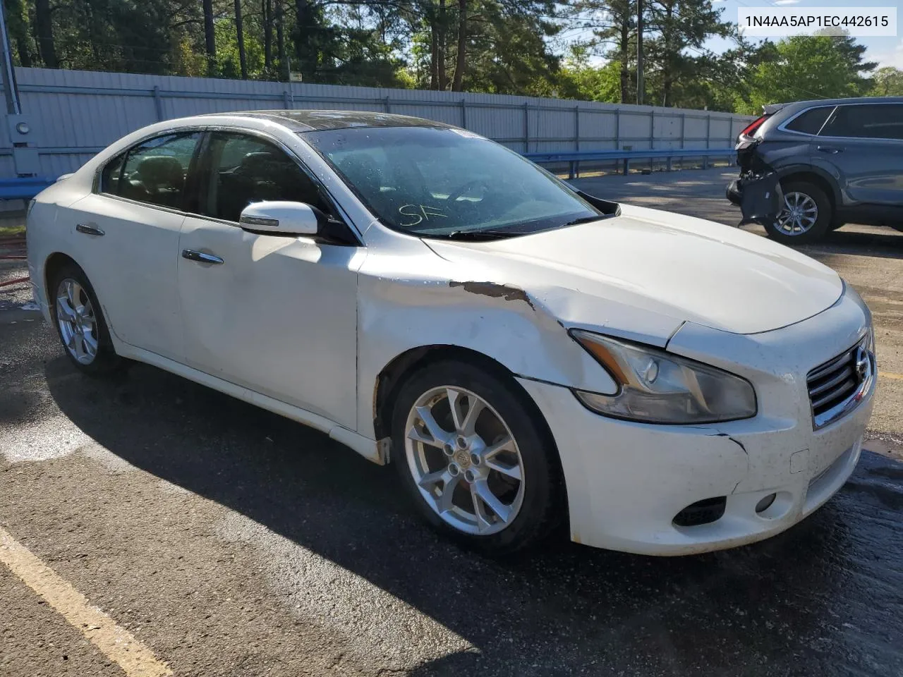 2014 Nissan Maxima S VIN: 1N4AA5AP1EC442615 Lot: 49350104