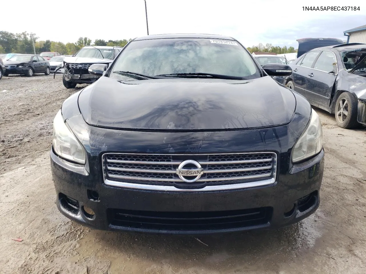 2014 Nissan Maxima S VIN: 1N4AA5AP8EC437184 Lot: 70785874