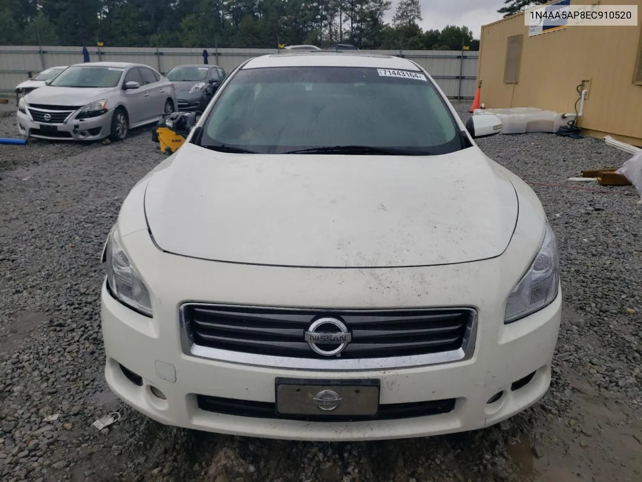 2014 Nissan Maxima S VIN: 1N4AA5AP8EC910520 Lot: 71443164