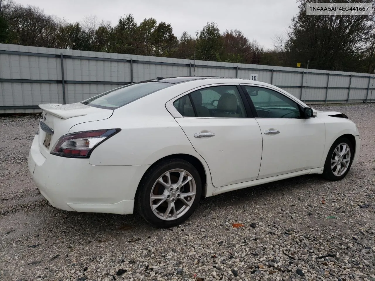 2014 Nissan Maxima S VIN: 1N4AA5AP4EC441667 Lot: 77797154