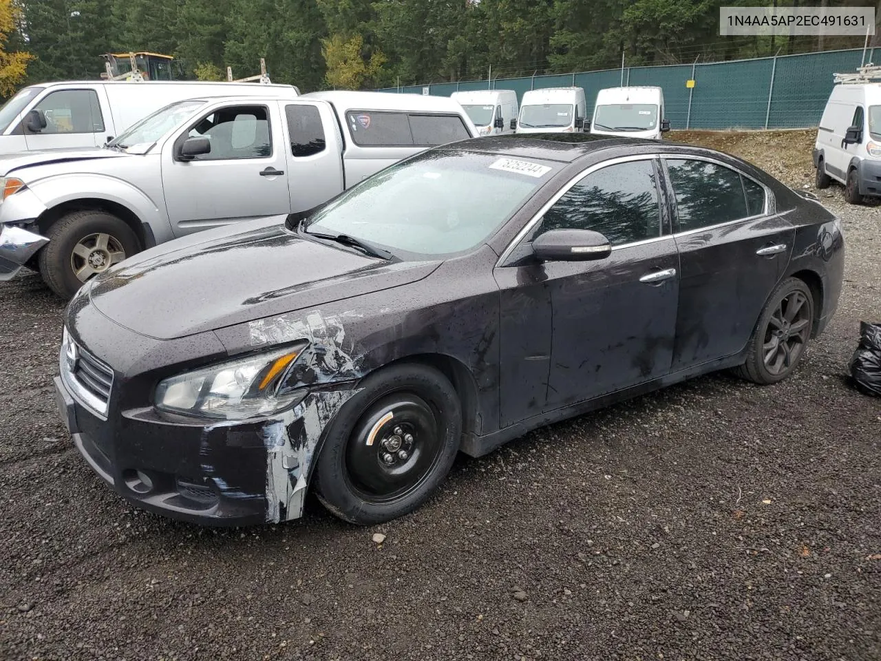 2014 Nissan Maxima S VIN: 1N4AA5AP2EC491631 Lot: 78252244